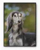 plakat-bez-ramy-a4-21x30-imp-psy-01