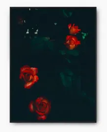 plakat-bez-ramy-a4-21x30-imp-roza-04