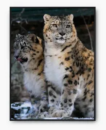 plakat-bez-ramy-a4-21x30-imp-zwierzeta-24