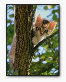 plakat-bez-ramy-a4-21x30-imp-koty-02