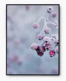 plakat-bez-ramy-a4-21x30-imp-zima-06