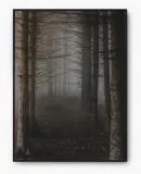 plakat-bez-ramy-a4-21x30-imp-las-05