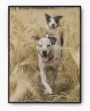 plakat-bez-ramy-a4-21x30-imp-psy-05