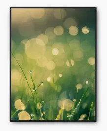 plakat-bez-ramy-a4-21x30-imp-trawa-27