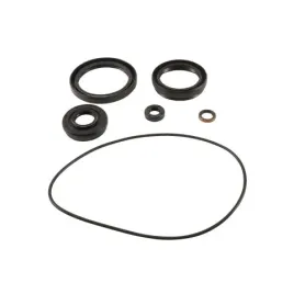 uszczelniacze-dyferencjalu-przedniego-all-balls-kawasaki-kvf750-brute-16-21