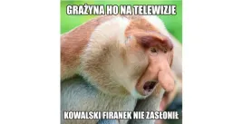kubek-bialy-fullprint-wmp-nosacz-09-prezent