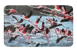 dywanik-mata-60x90-wmp-flamingi-7-wzory