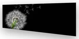 fototapeta-do-kuchni-wmp-dmuchawiec-4-na-wymiar