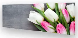 fototapeta-do-kuchni-wmp-tulipany-8-na-wymiar