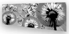 fototapeta-do-kuchni-wmp-dmuchawiec-1-na-wymiar