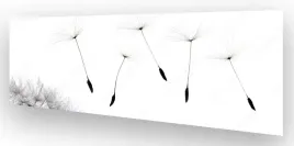 fototapeta-do-kuchni-wmp-dmuchawiec-8-na-wymiar