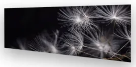 fototapeta-do-kuchni-wmp-dmuchawiec-5-na-wymiar