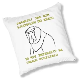 poduszka-fullpriint-wmp-nosacze-04-prezent