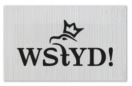 mata-lazienkowa-wmp-anty-pis-10-antyposliz-65x40