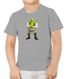 koszulka-kids-szara-r-122cm-jmp-shrek-04