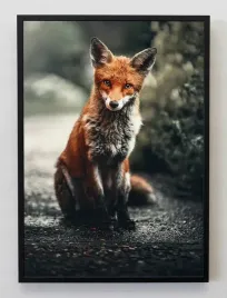 plakat-bez-ramy-a3-30x40-jmp-zwierzeta-lesne-01