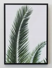 plakat-a3-30x40-w-ramie-jmp-liscie-09