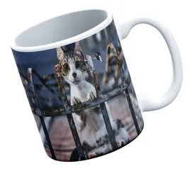 kubek-bialy-fullprint-jmp-koty3-prezent