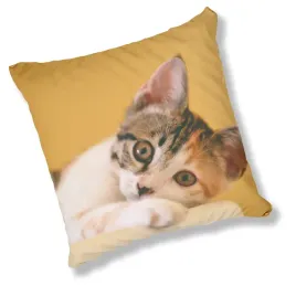 poduszka-fullprint-jmp-koty5-prezent