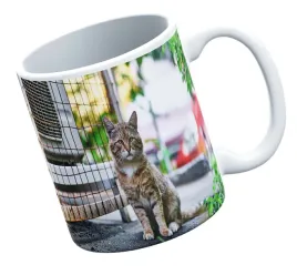 kubek-bialy-fullprint-jmp-koty1-prezent