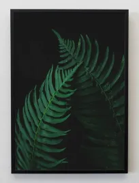 plakat-a3-30x40-w-ramie-jmp-liscie-10