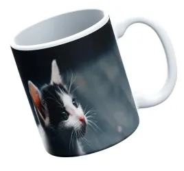 kubek-bialy-fullprint-jmp-koty8-prezent