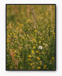 plakat-a3-30x40-w-ramie-imp-laka-07