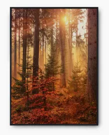 plakat-bez-ramy-a3-30x40-imp-jesien-10