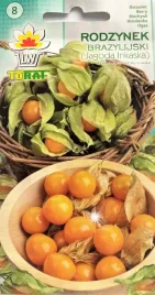 miechunka-jagoda-inkaska-rodzynek-brazylijski-slodko-kwasny-pomidor-toraf