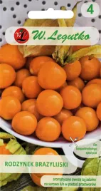 miechunka-jagoda-inkaska-rodzynek-brazylijski-slodko-kwasny-pomidor