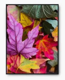 plakat-bez-ramy-a3-30x40-imp-jesien-07
