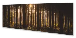 fototapeta-kuchenna-imp-las-07-na-wymiar