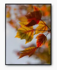 plakat-bez-ramy-a3-30x40-imp-jesien-09