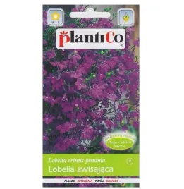 lobelia-stroiczka-zwisajaca-niebiesko-fioletowa-nasiona-01g
