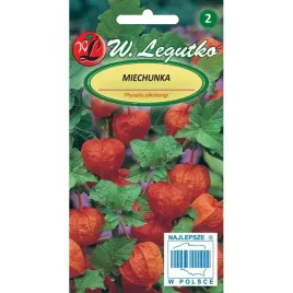 miechunka-rozdeta-peruwianska-wisnia-piekne-pnacze-pamaranczowe-kwiaty