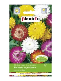 plantico-kocanka-nasiona-kwiatow-ogrodowa-mix-kolorow-1g