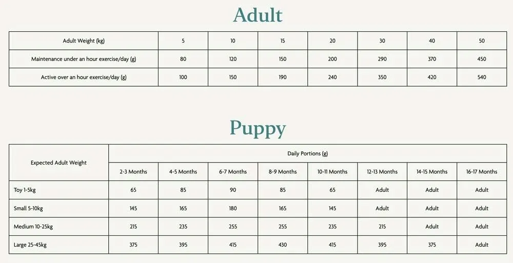 canagan-insect-all-breeds-15kg-marka-canagan