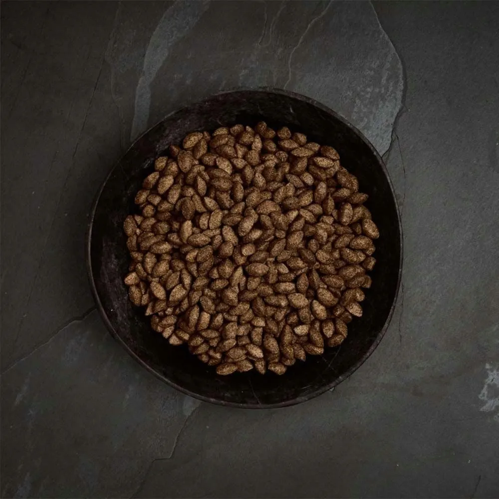 canagan-insect-all-breeds-5kg-marka-canagan
