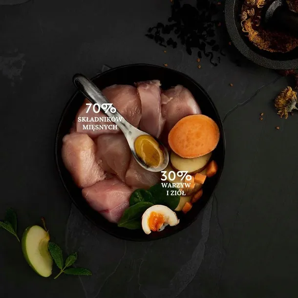 canagan-kot-free-range-chicken-375g-wiek-zwierzecia-karma-uniwersalna