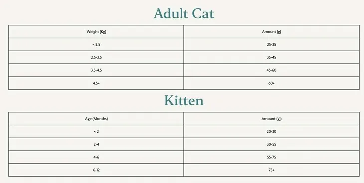 canagan-kot-light-senior-375g-karmy-specjalne-dla-kotow-sterylizowanych