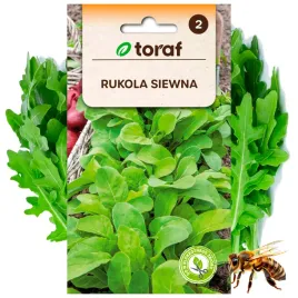 rukola-siewna-nasiona-ziola-roslina-1-g