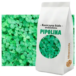 mikrokoniczyna-drobnolistna-koniczyna-biala-pipolina-nasiona-poplon-1-kg