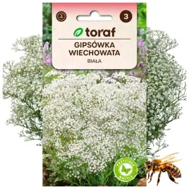 gipsowka-wiechowata-biala-roslina-miododajna-05-g