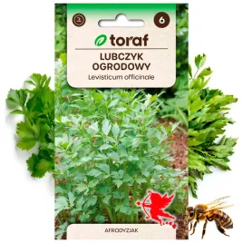 lubczyk-ogrodowy-nasiona-ziola-roslina-1-g