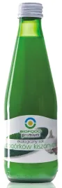 sok-z-ogorka-kiszony-bio-300-ml-bio-food