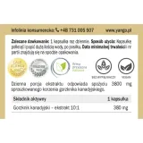 gorzknik-kanadyjski-90-kaps-yango-postac-kapsulki