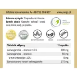 ashwagandha-3-formy-90-kaps-yango-postac-plyn