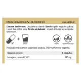 traganek-ekstrakt-101-100-kaps-yango-postac-kapsulki