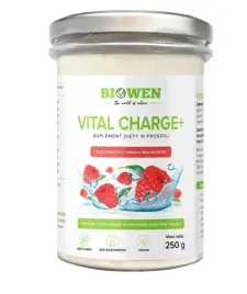 elektrolity-o-smaku-malinowym-w-proszku-vital-charge-250-g-hempking