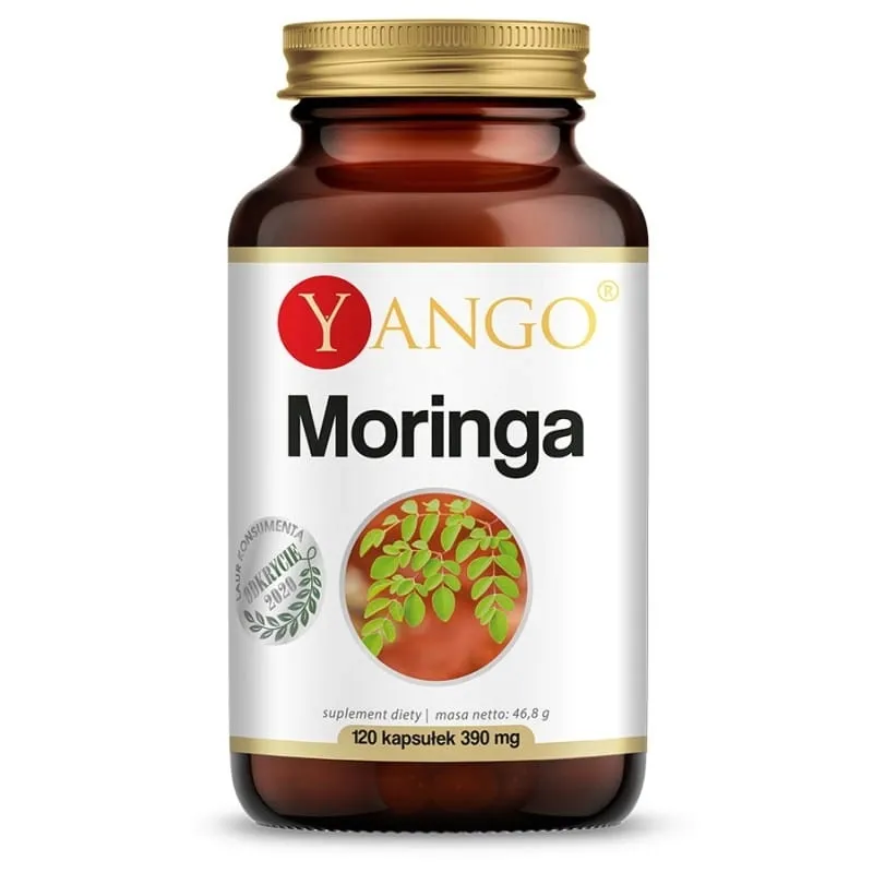 moringa-90-kaps-yango